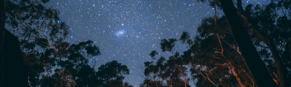 轻量化露营装备，包括帐篷和炊具